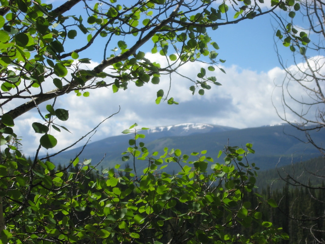 View from HwY 149 overlook